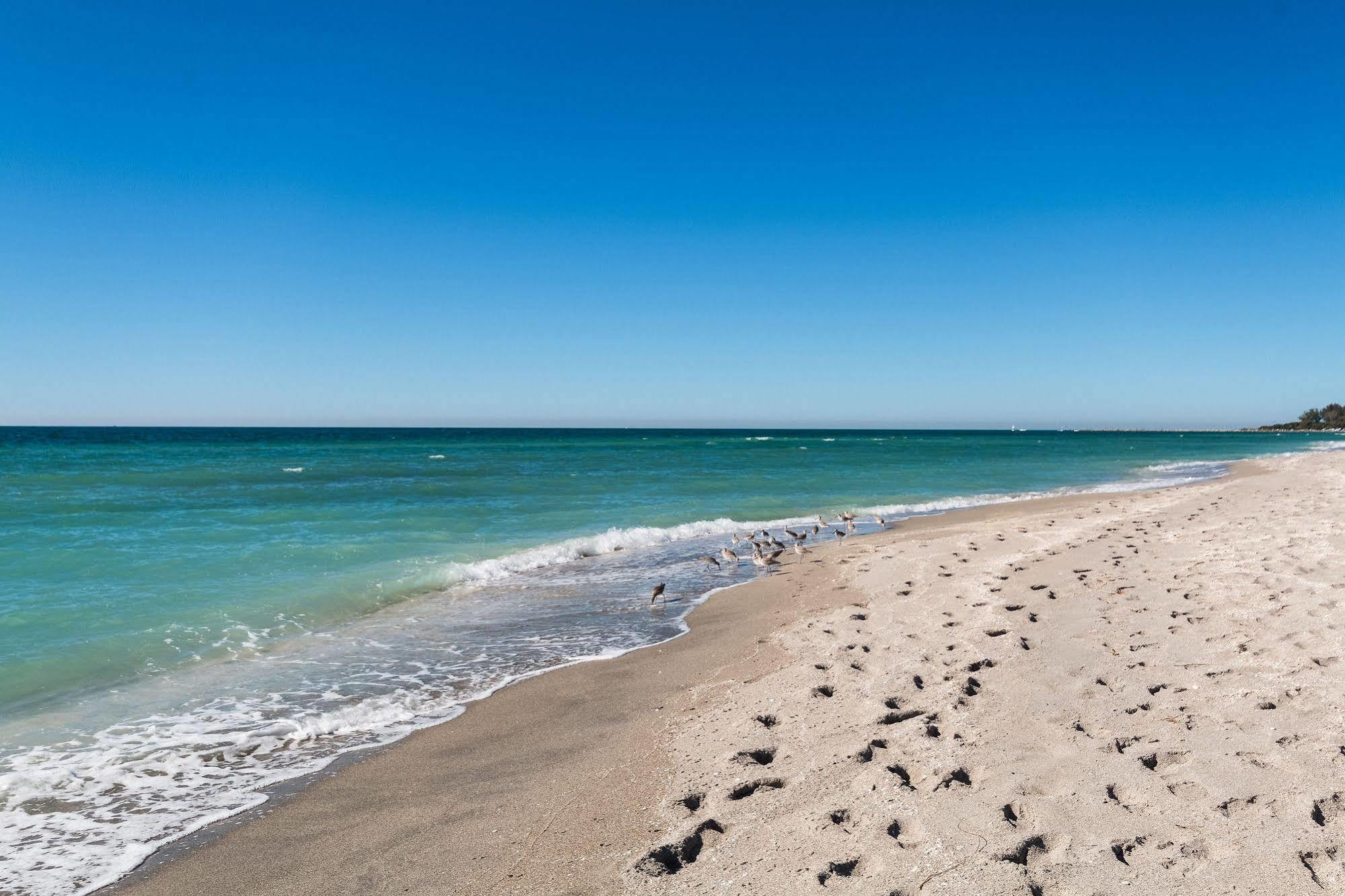 Inn At The Beach-venice Florida 3*