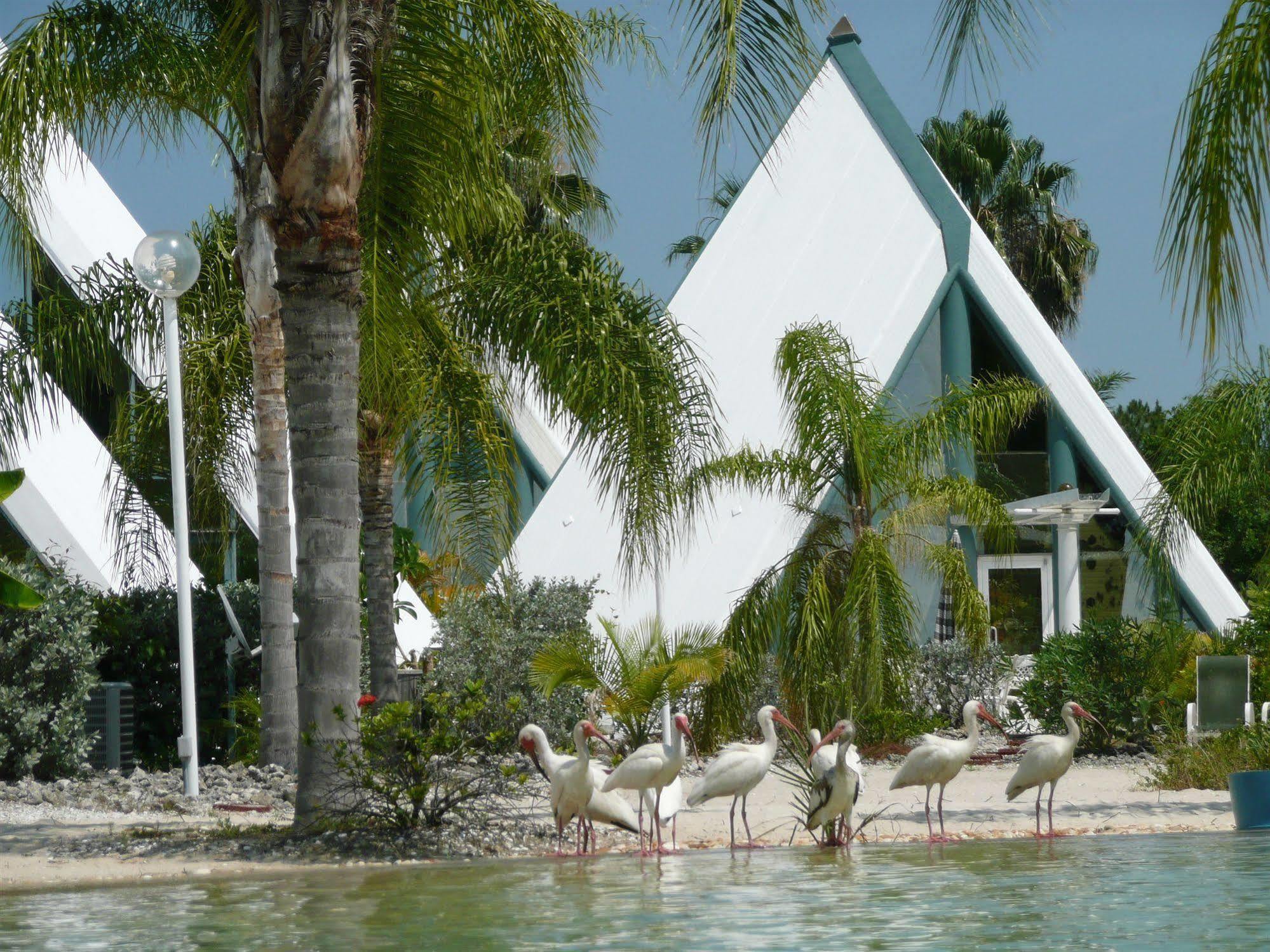 Inn Pyramids In Florida Estero