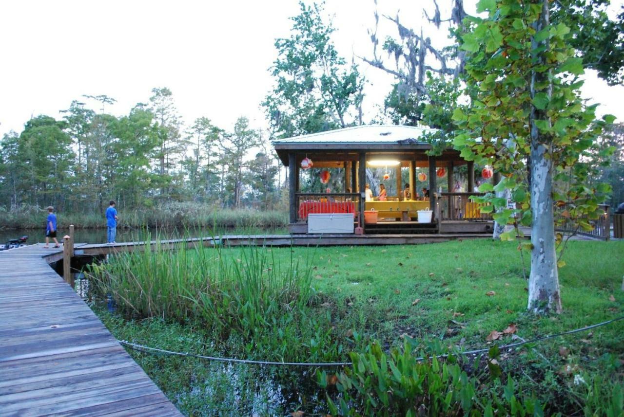Campsite Live Oak Landing