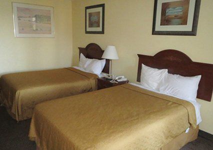 Lodge Econo