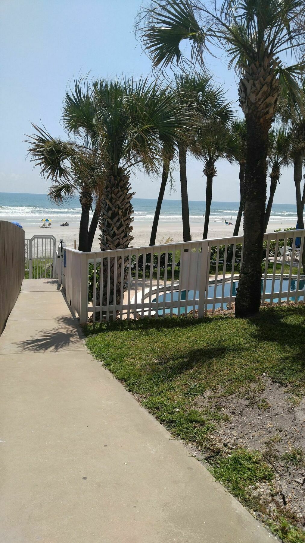 Flamingo Beachfront - Daytona