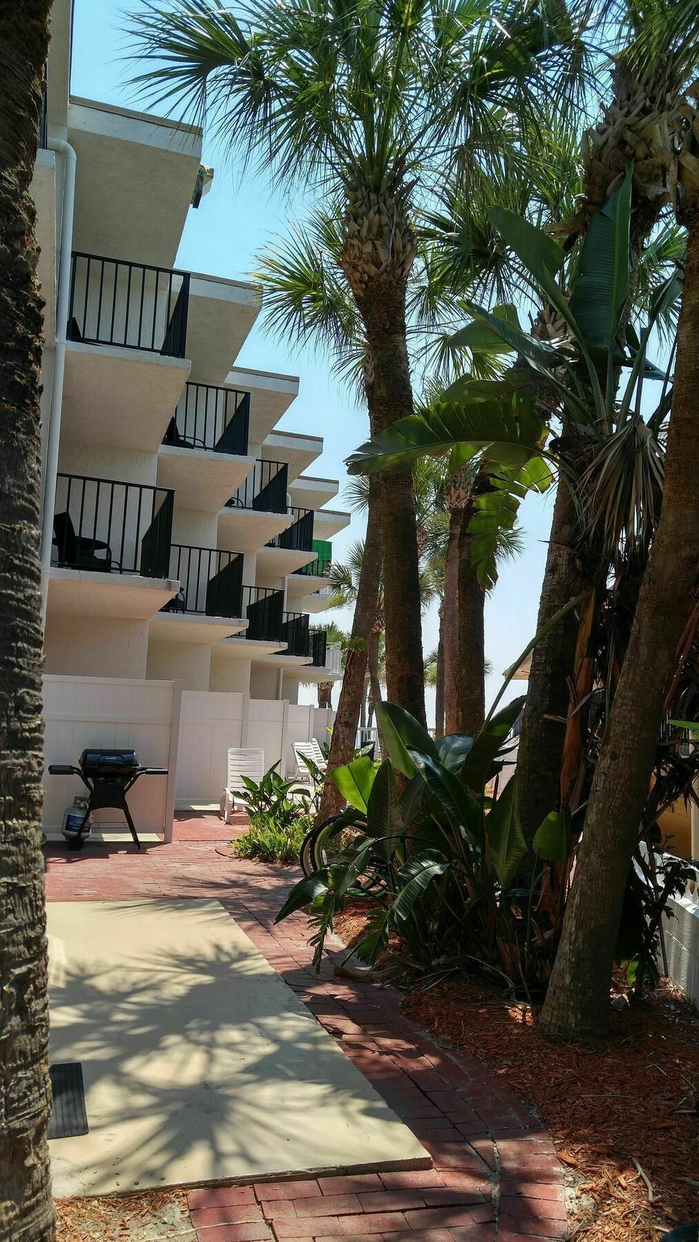 Flamingo Beachfront - Daytona Inn Daytona Beach