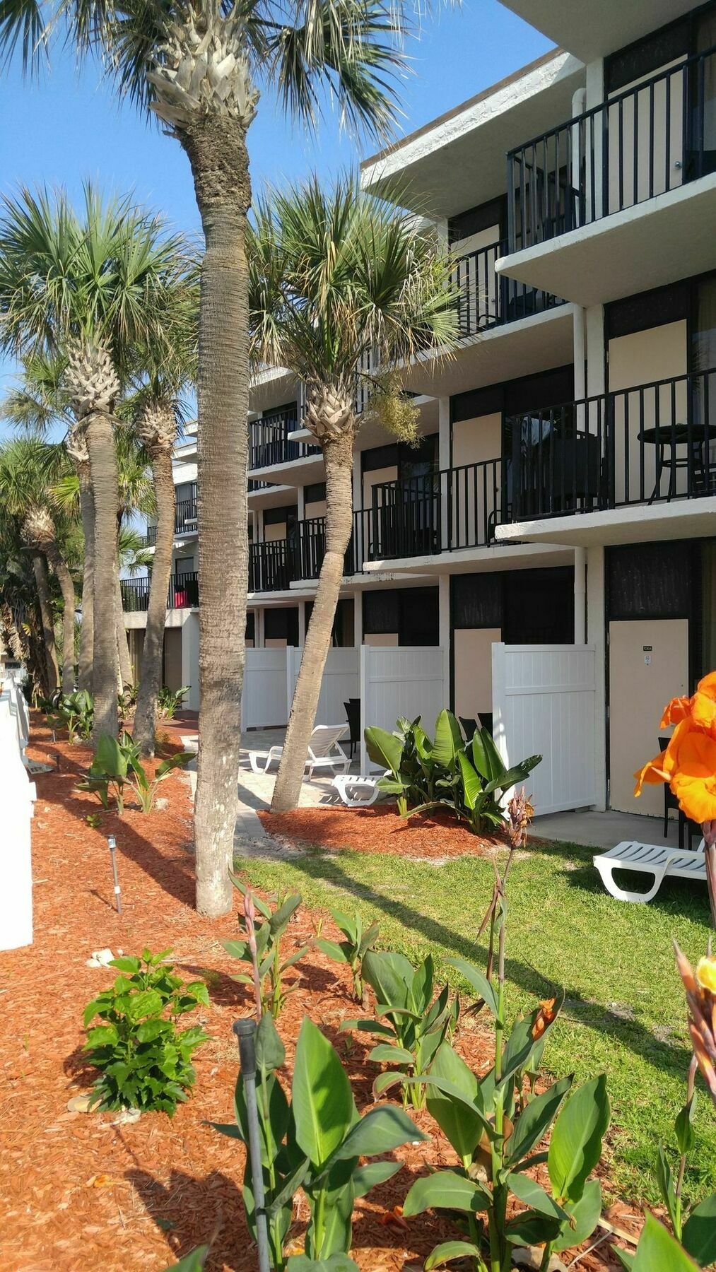 Flamingo Beachfront - Daytona Inn