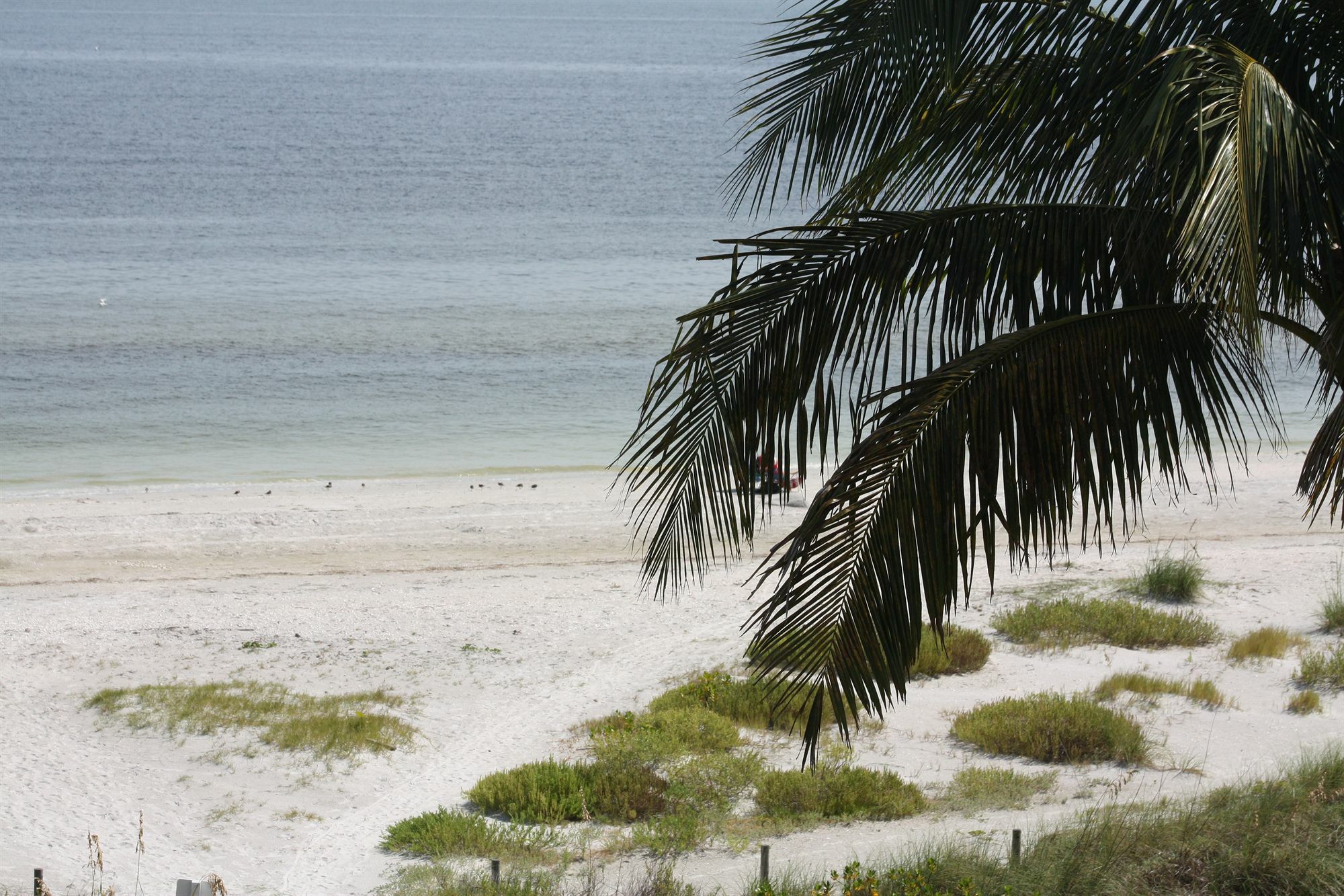 Ocean's Reach Aparthotel