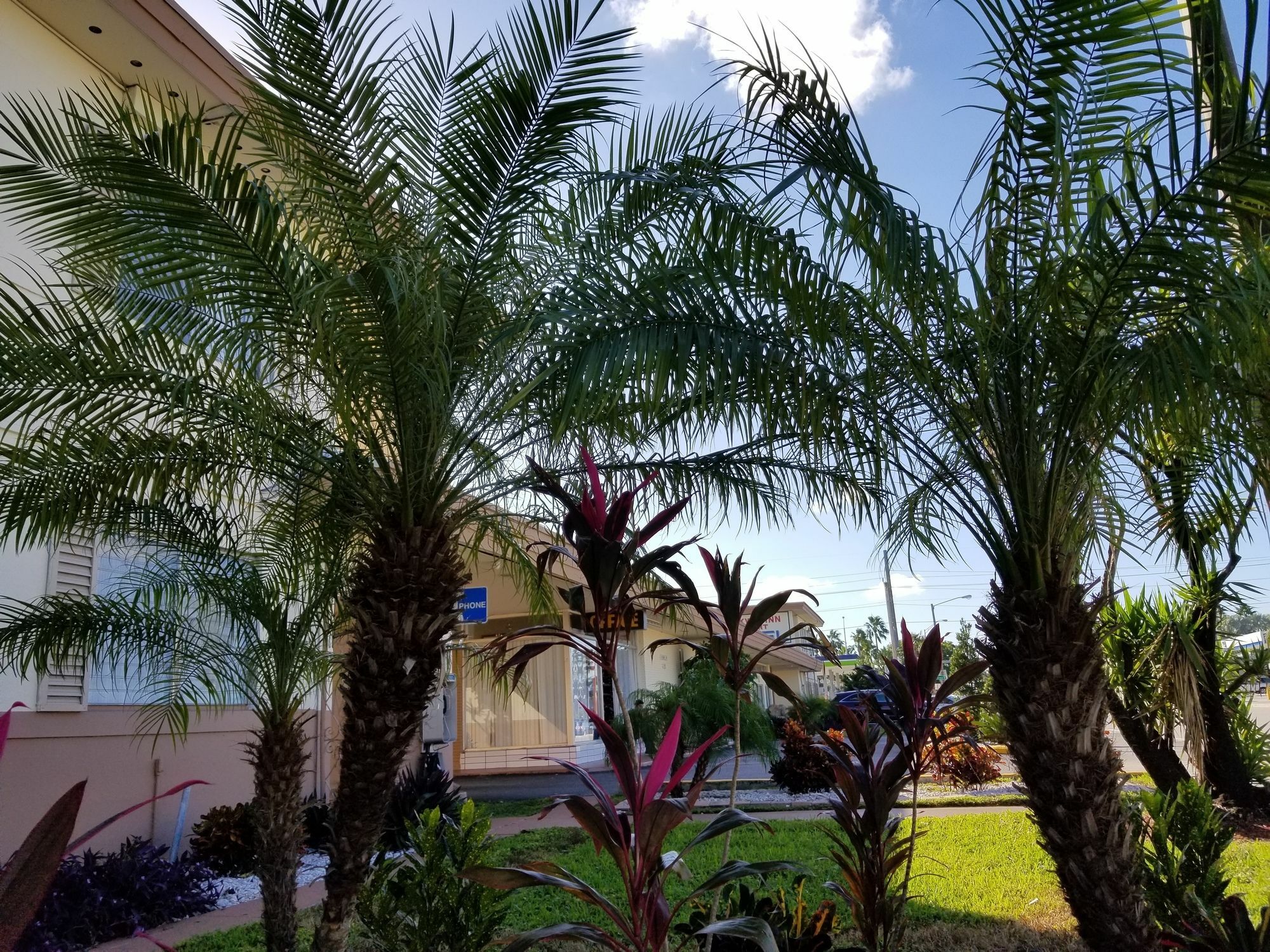 Hotel Parkway Miami Springs