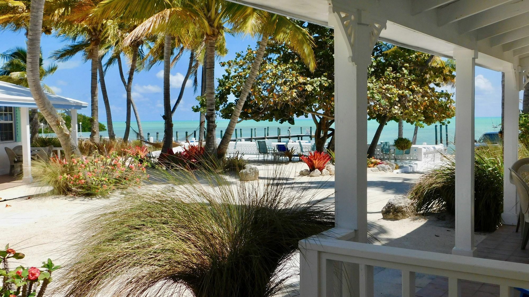 Resort Pines & Palms