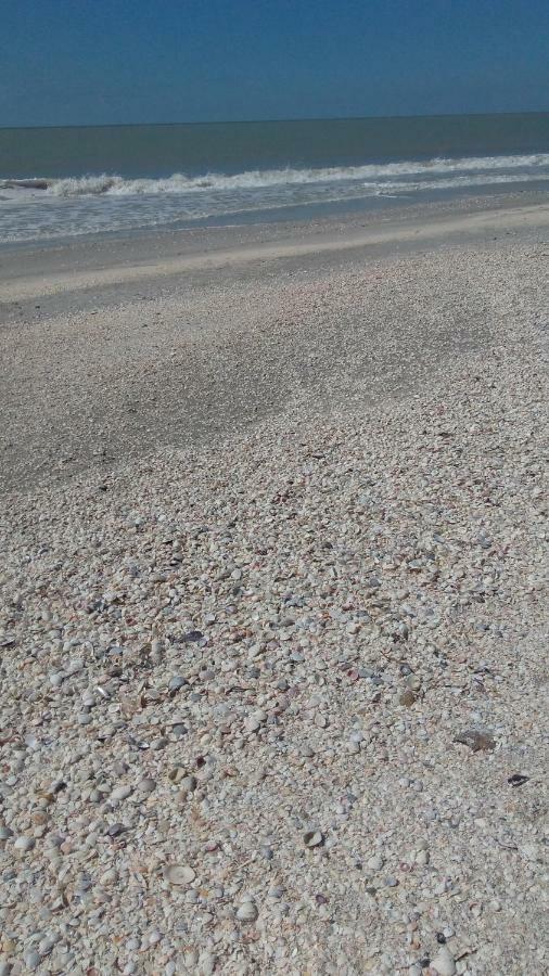 Tropical Winds Beachfront And 3* Sanibel