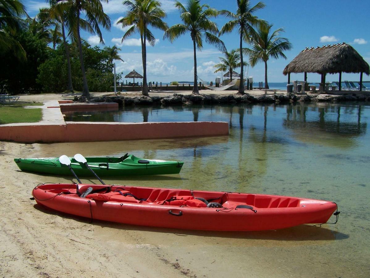 Rock Reef 2*