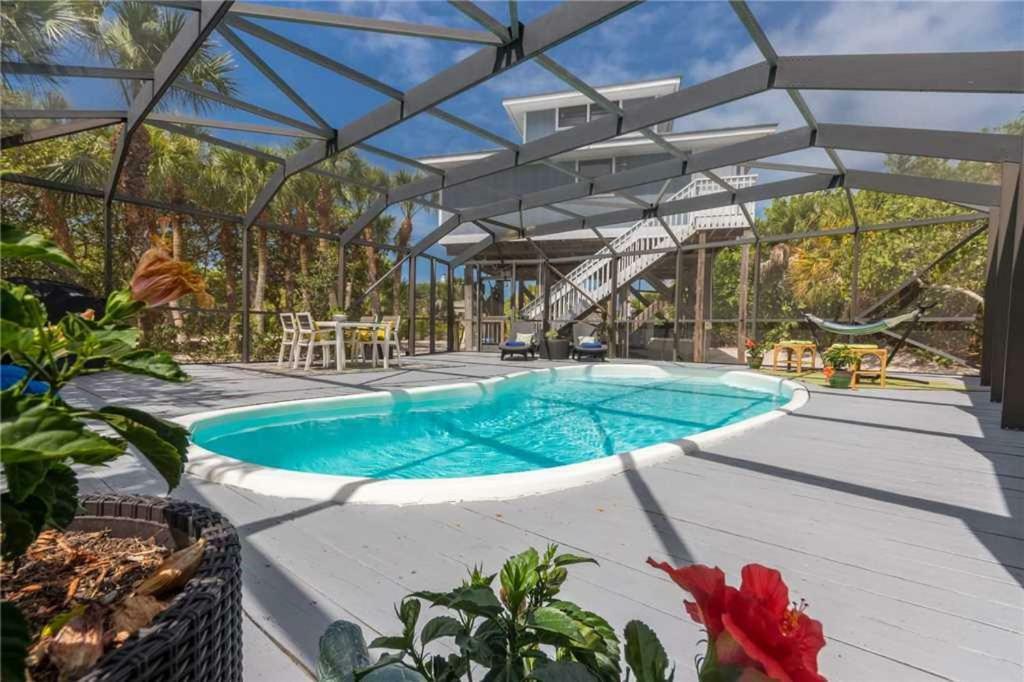 258-turtle Trax * North Captiva