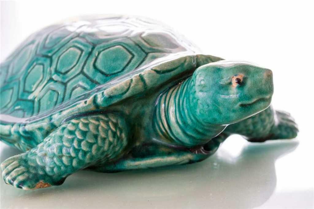 258-turtle Trax Holiday home North Captiva