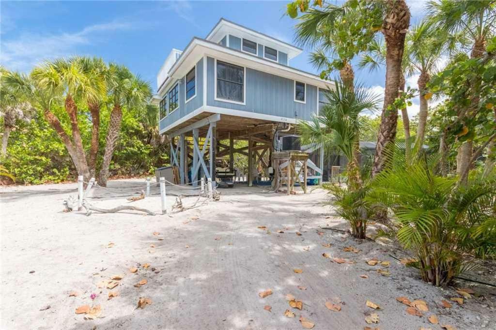 258-turtle Trax North Captiva