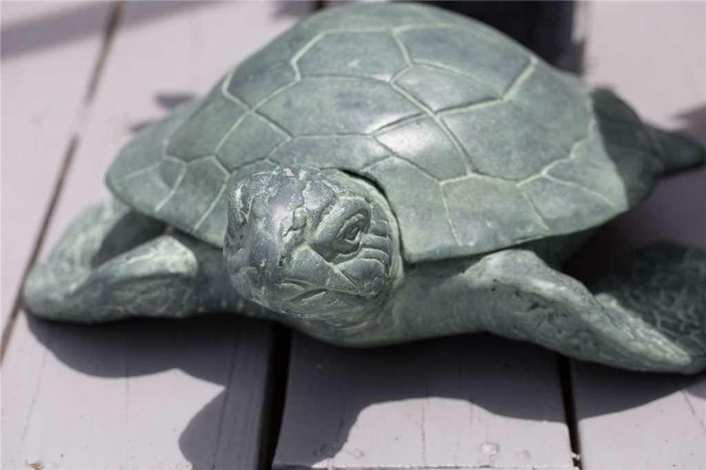 258-turtle Trax Holiday home