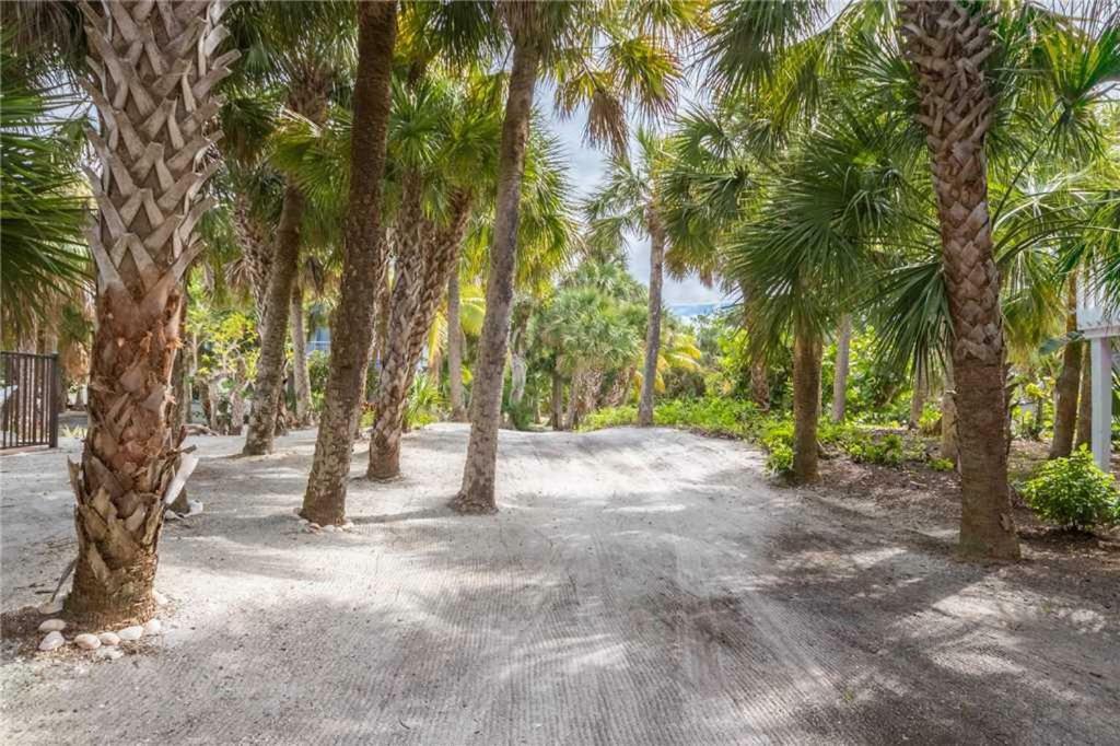 528 - Coral North Captiva