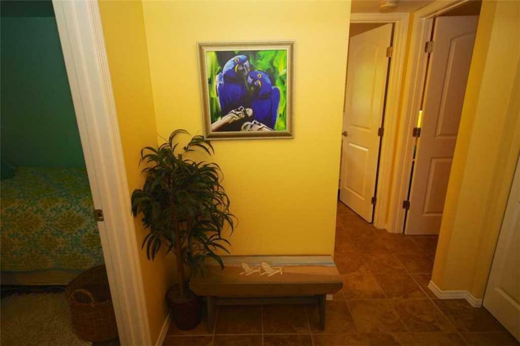 079 - Blue Macaw Holiday home *