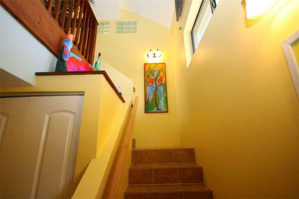 Holiday home 079 - Blue Macaw *