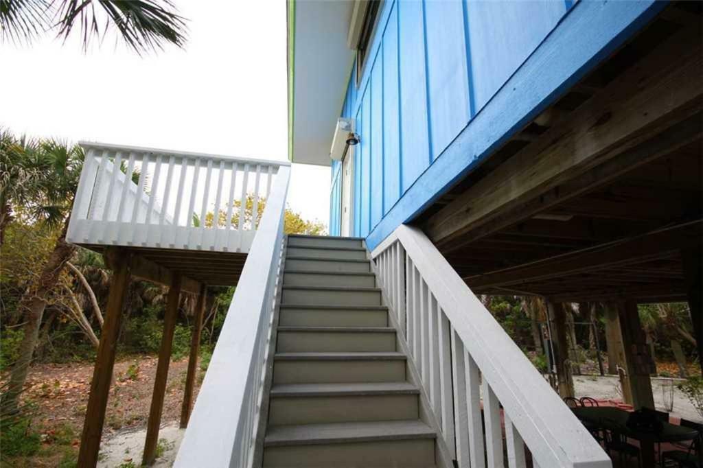 079 - Blue Macaw * North Captiva