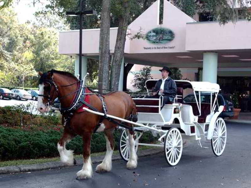 Hilton Hotel Ocala
