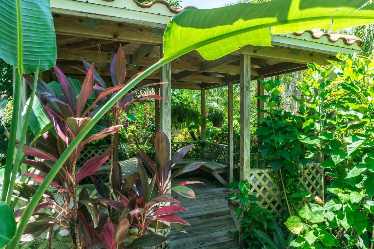 Hotel Tropical Of 3*