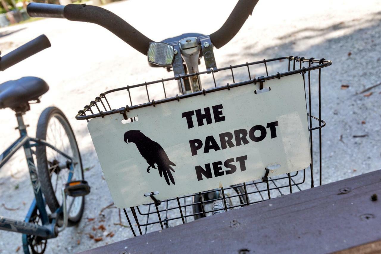 Parrot Nest 2*