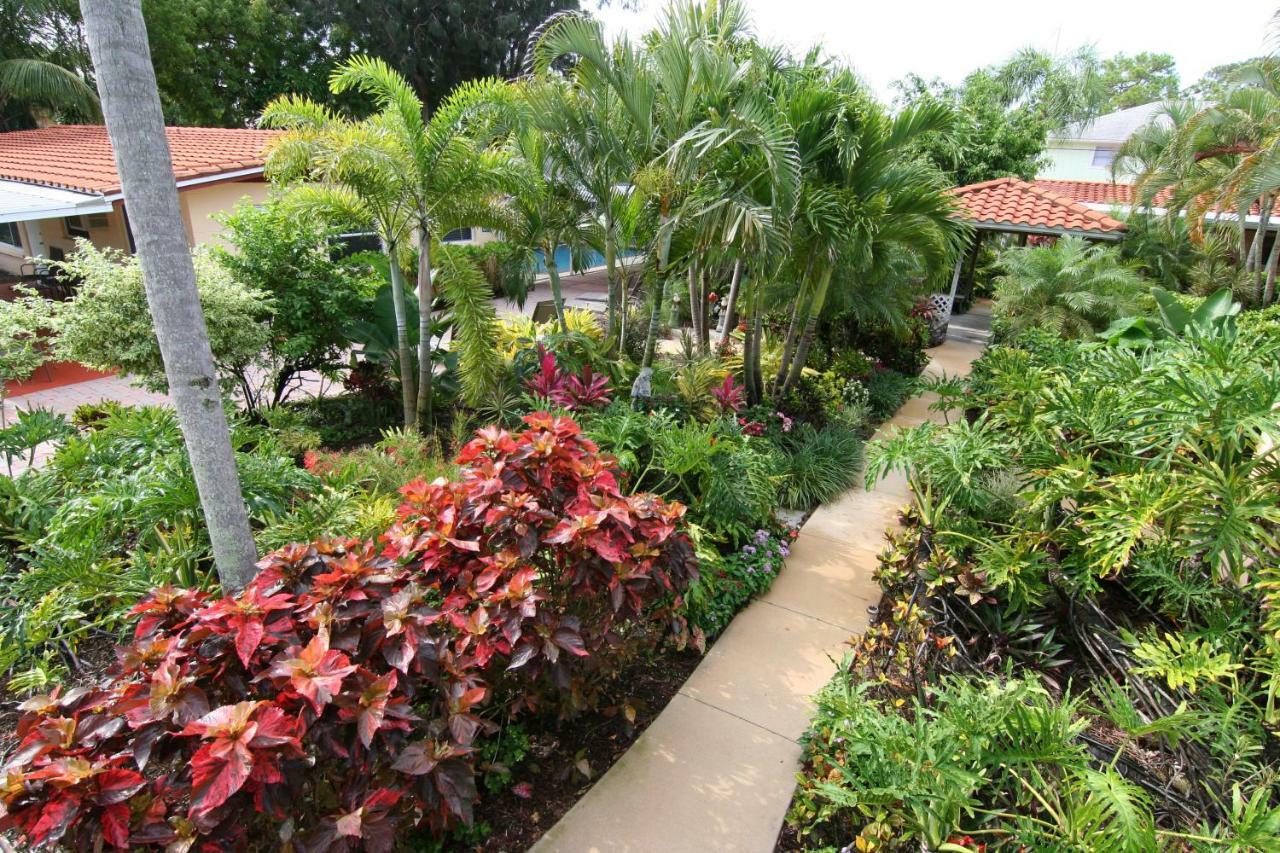 Tropical Of Hotel Venice