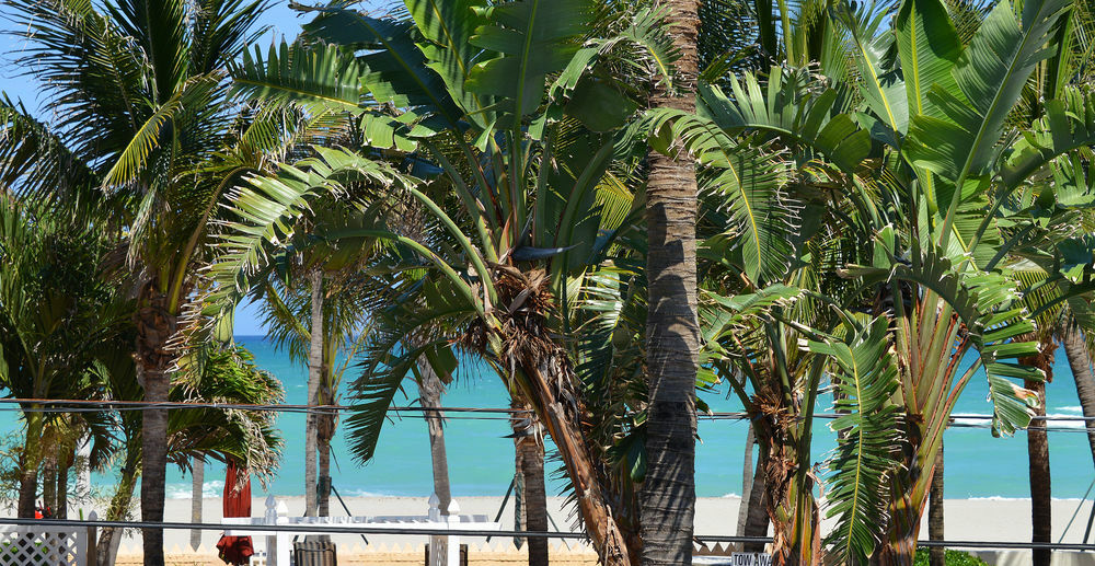 Hotel By The Sea 3*