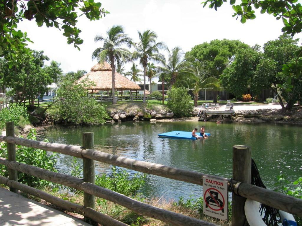 Licensed Mgr - Modern Oceanfront Condo! Beautiful Ocean Views! Resort! 2 King Beds! Apartment Key Largo