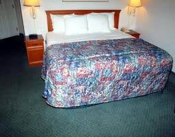 La Quinta By Wyndham West Lakeland
