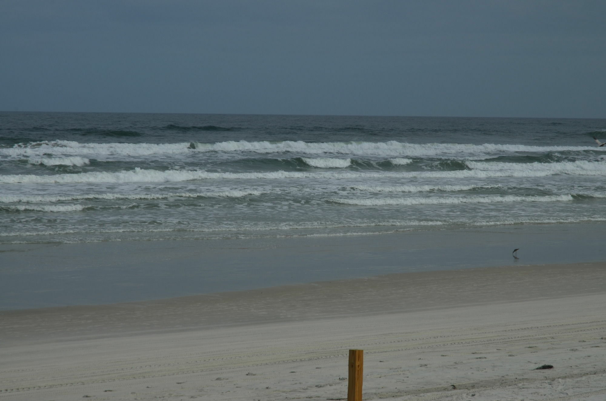 Hotel Shores Club Daytona Beach