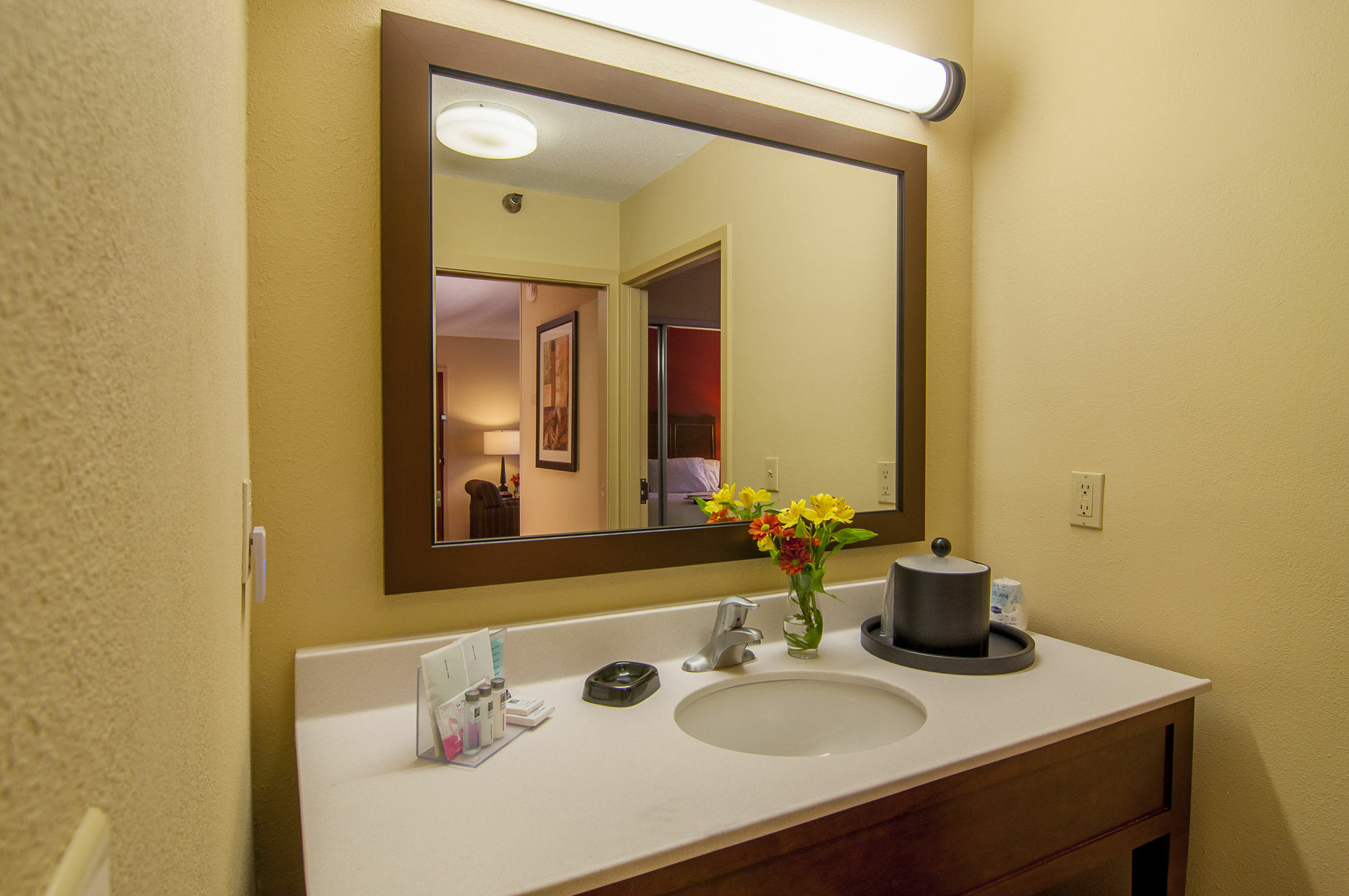 Hotel Hampton & Tampa-north Tampa