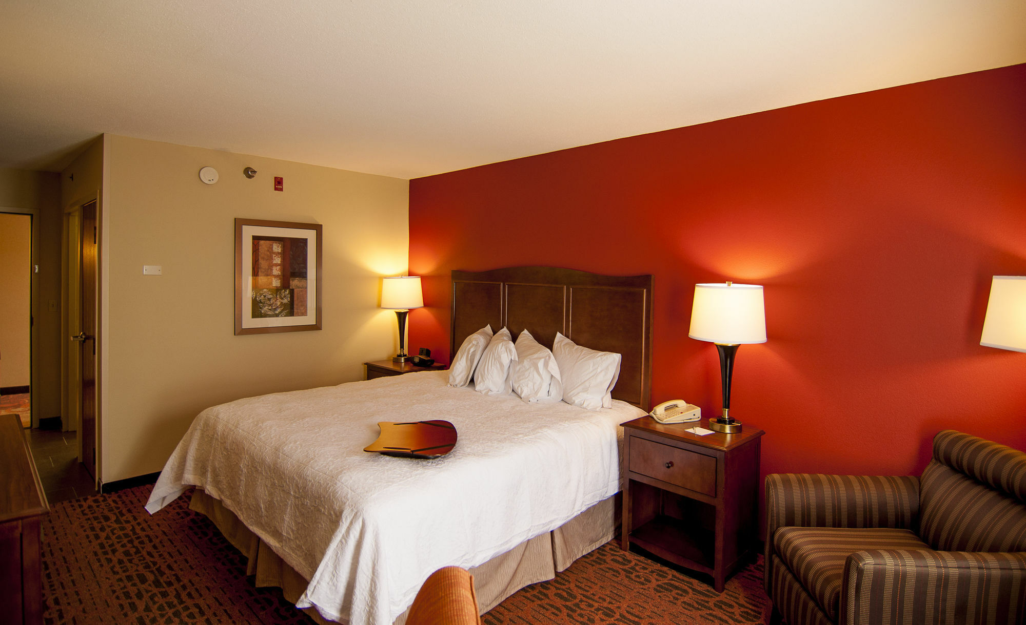 Hotel Hampton & Tampa-north Tampa