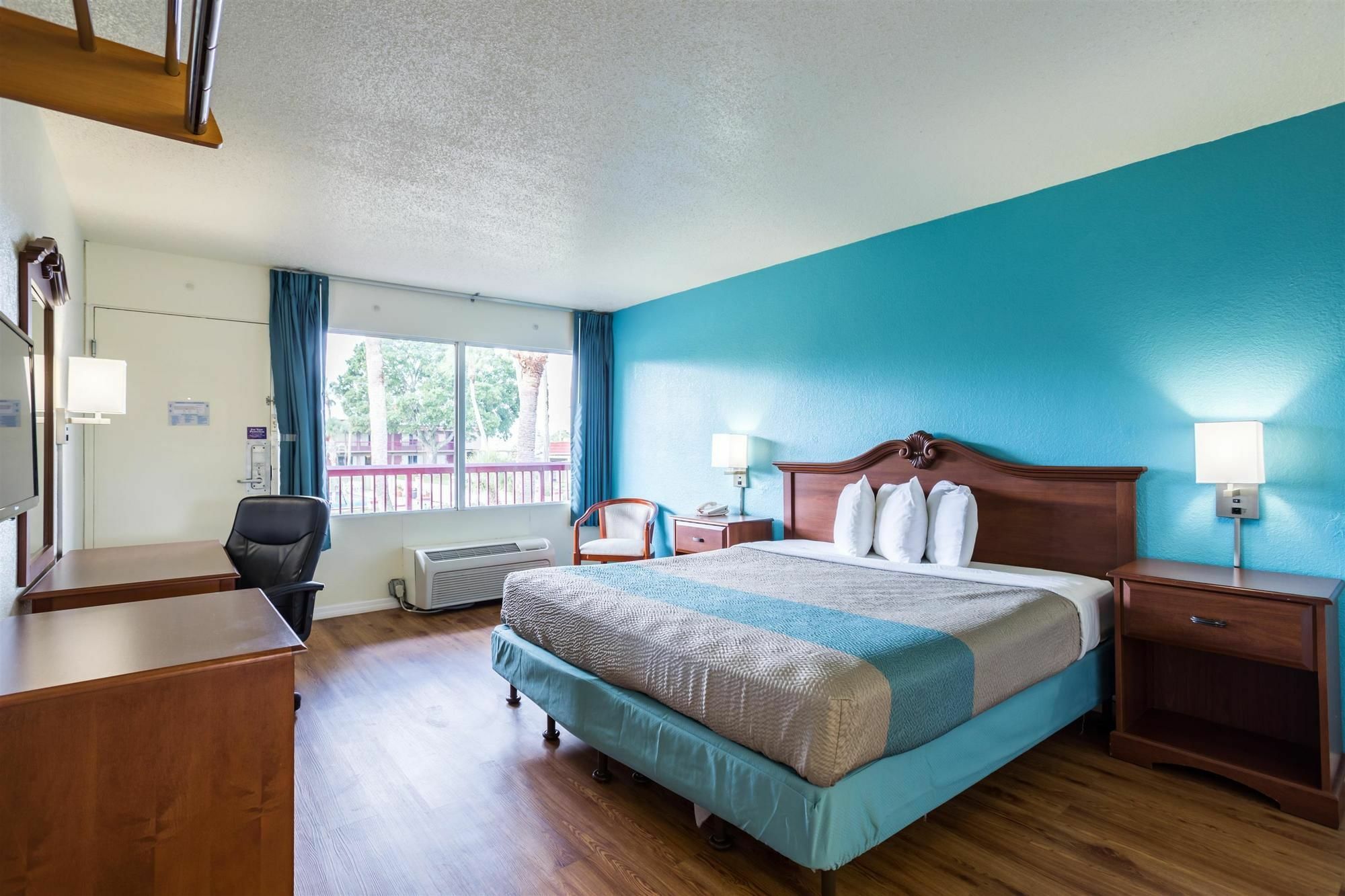 6-spring Hill, Fl -