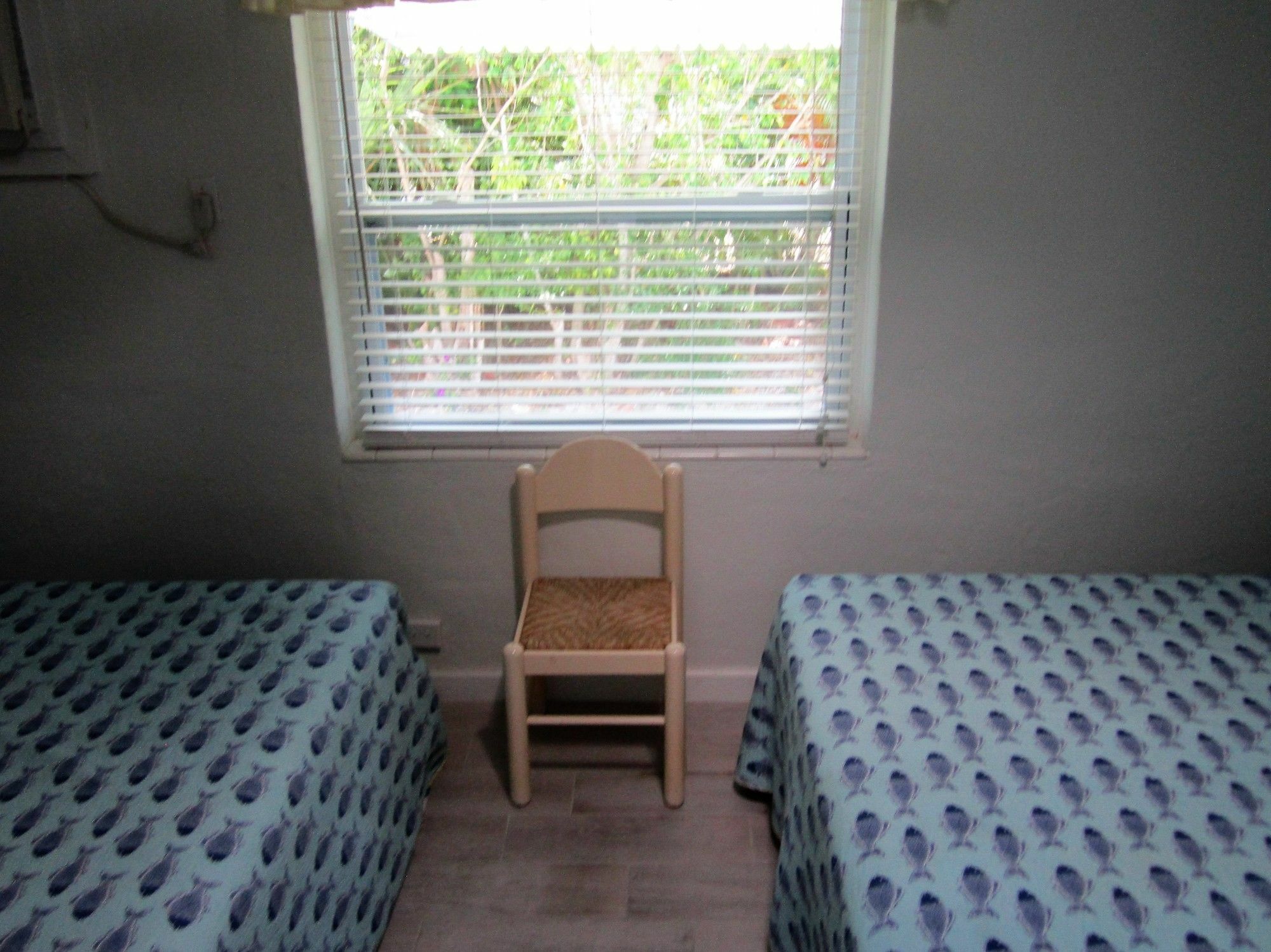 Tropical Winds Beachfront And Motel 3*