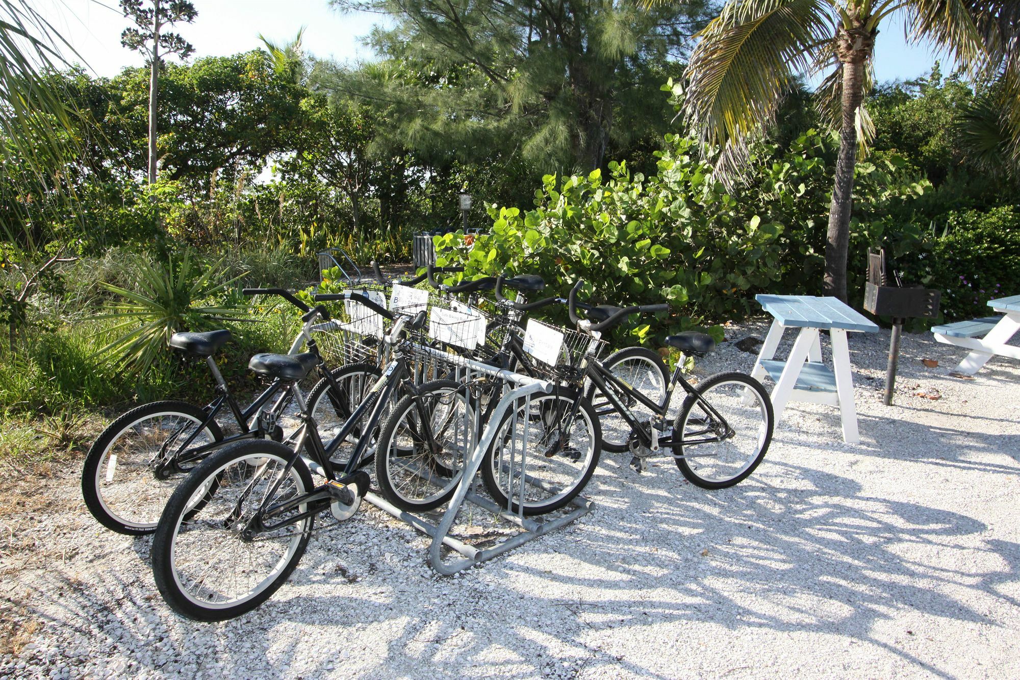 Tropical Winds Beachfront And