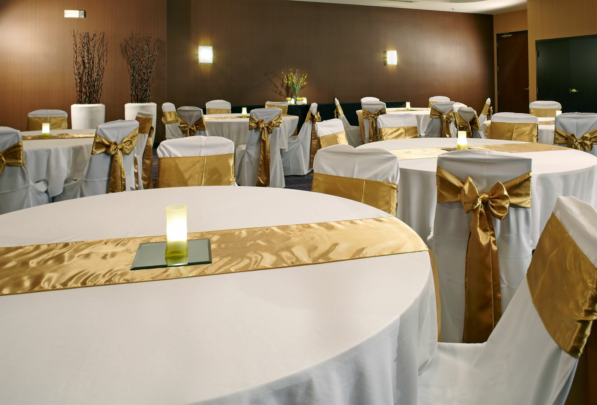Hotel Courtyard Tampa Oldsmar