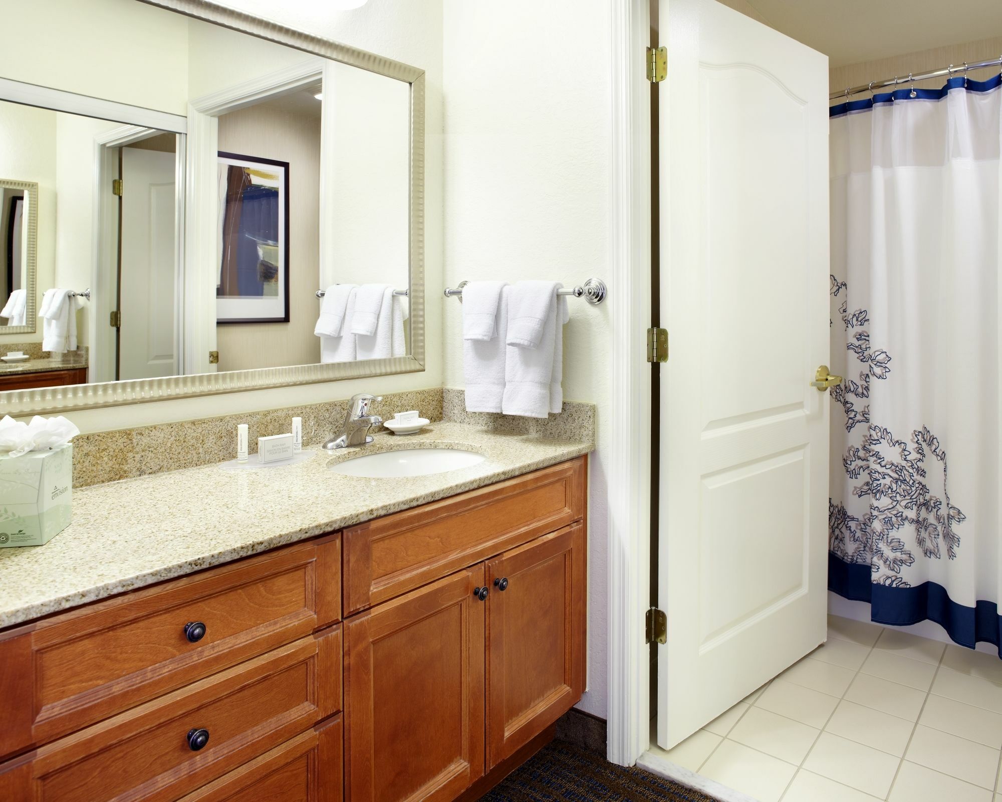 Tampa Hotel Oldsmar