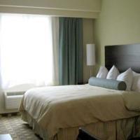 Hotel Four Points By Sheraton Lauderdale Airport - Dania 3*
