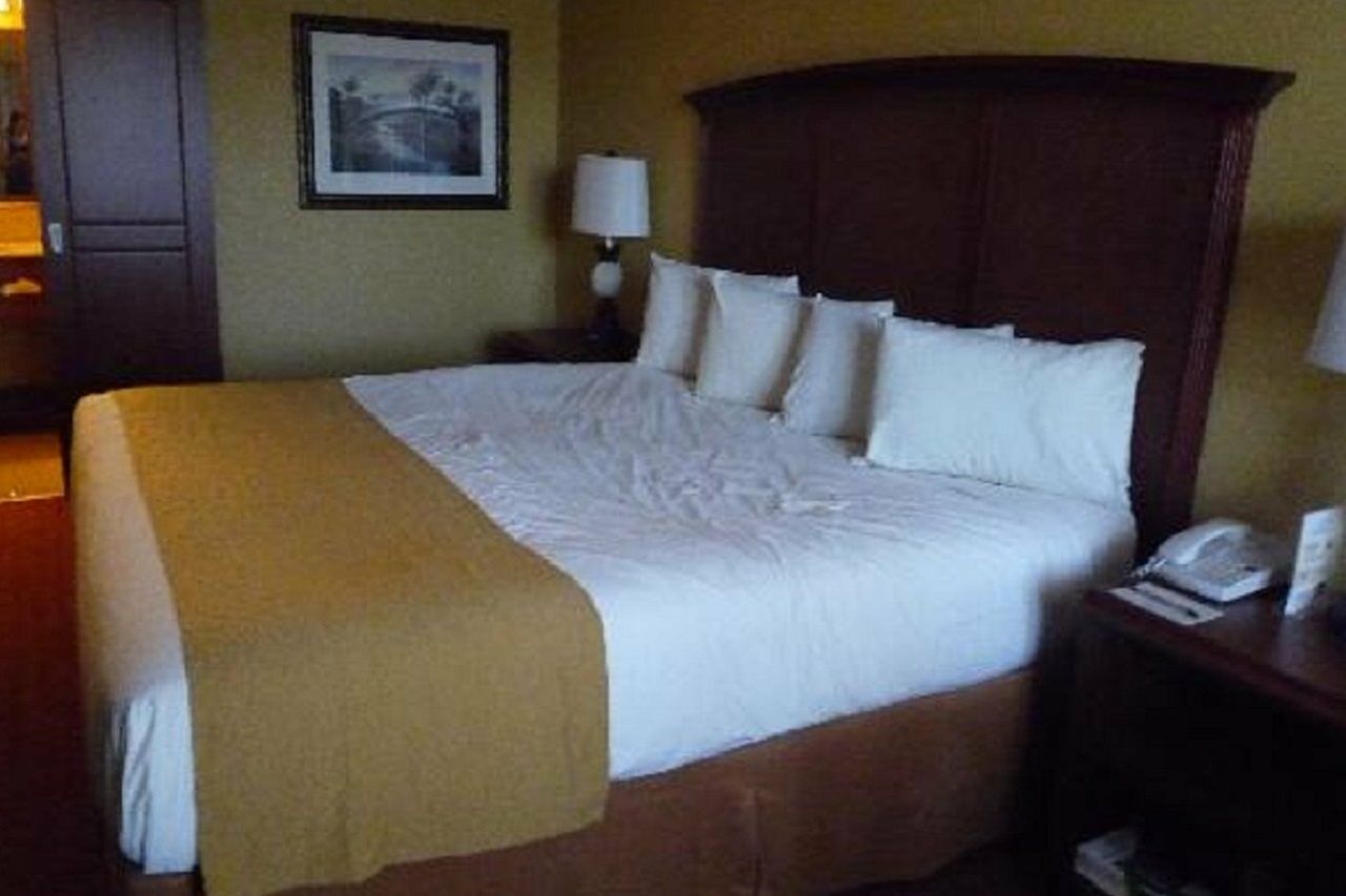 Hotel Rosen At Pointe Orlando 3*