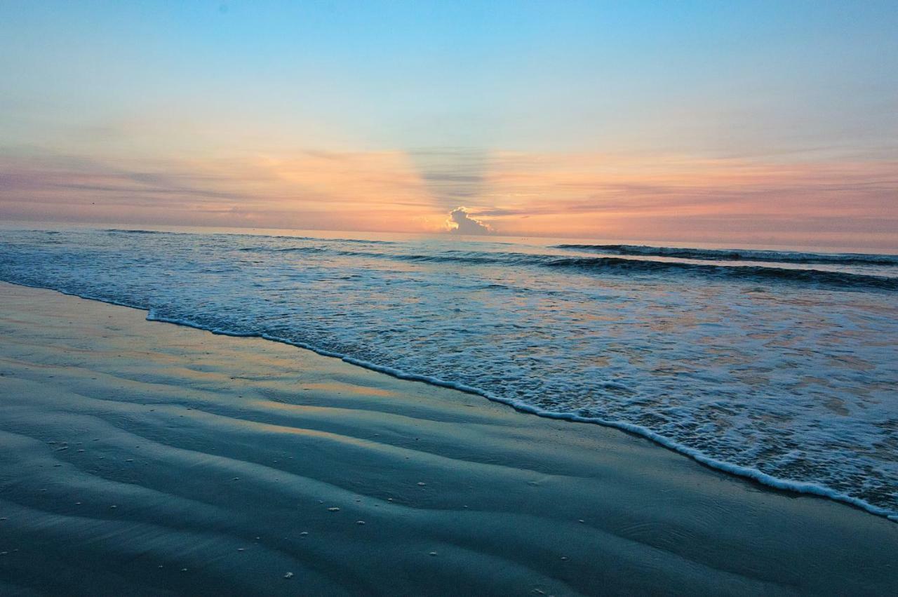 Guy Harvey On St. Augustine