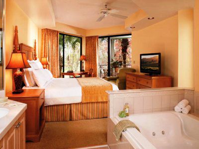 Hotel Marriott's Royal Palms