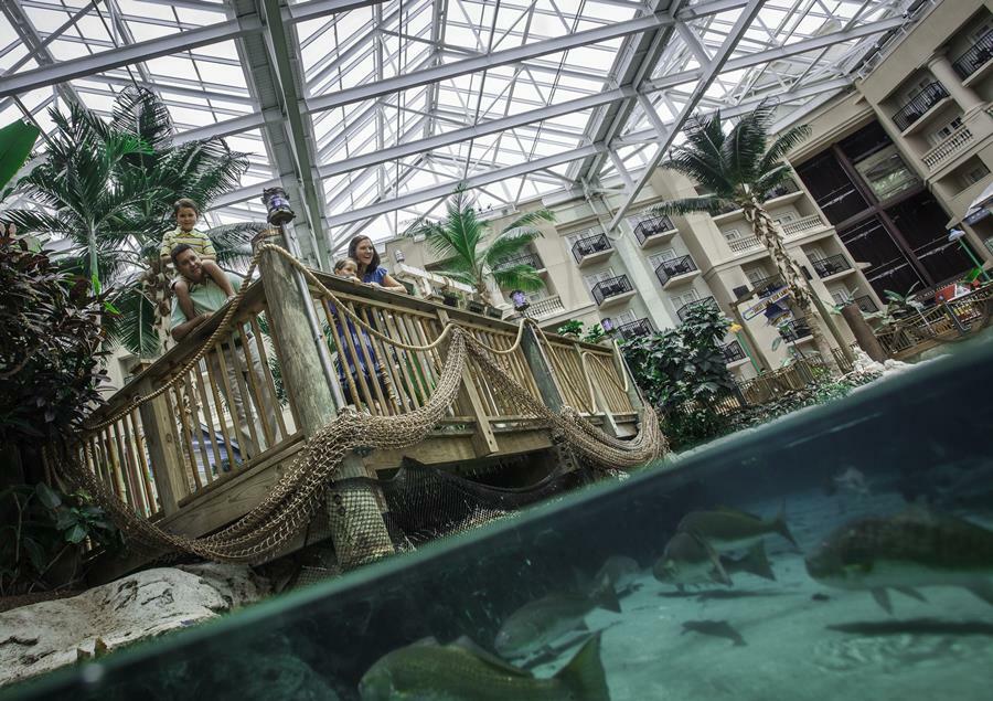Resort Gaylord Palms & Convention Center 4*