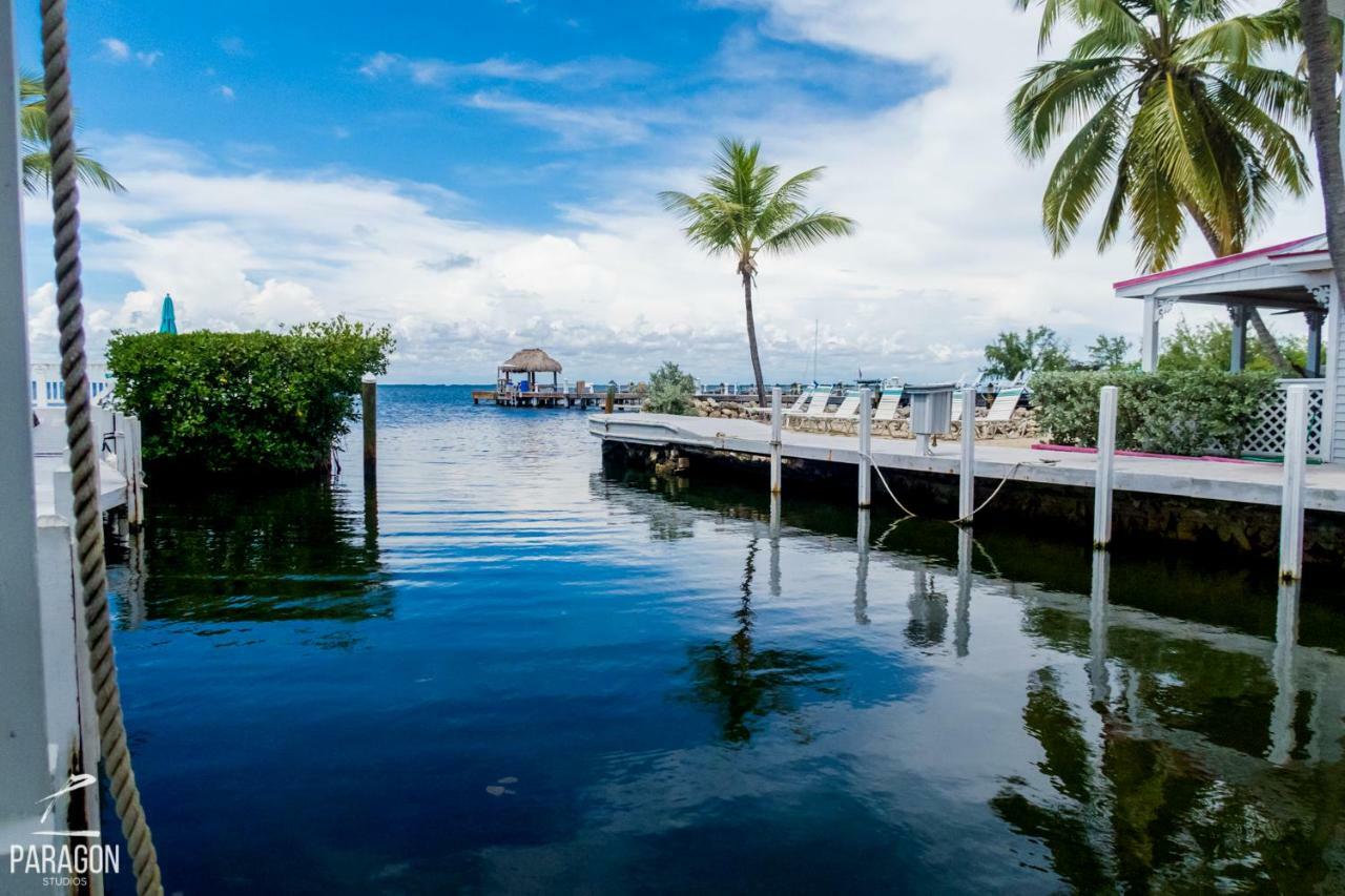 Amoray Dive Key Largo