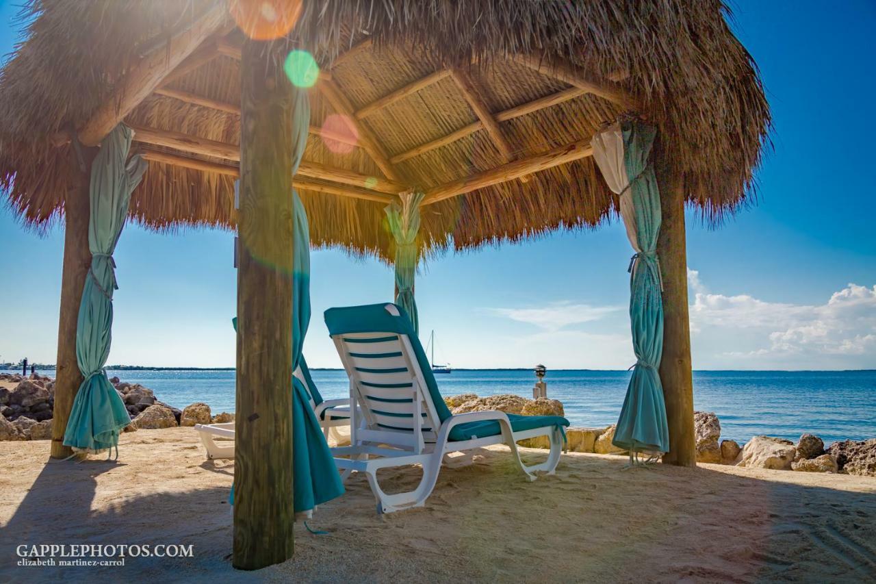 Amoray Dive Key Largo