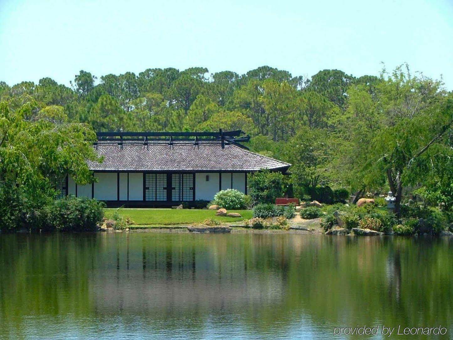Hampton