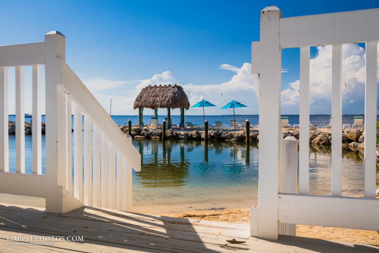 Amoray Dive Key Largo