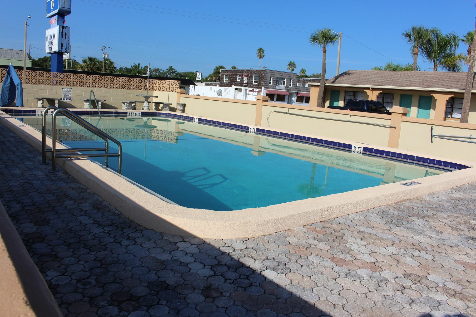 Lion - Motel St. Augustine