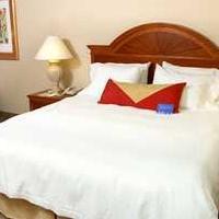 Hilton Garden Orlando East - Ucf Area Hotel Alafaya