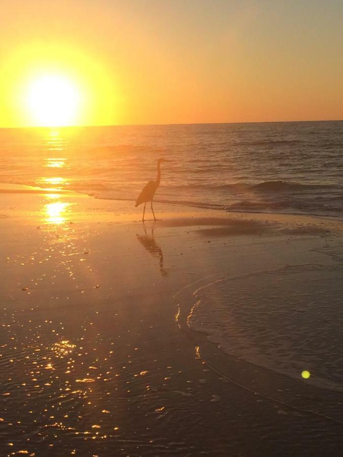 Apartment Romantic For 2-sunset Harbor Palms 1-205, Pool, Fishing Pier
