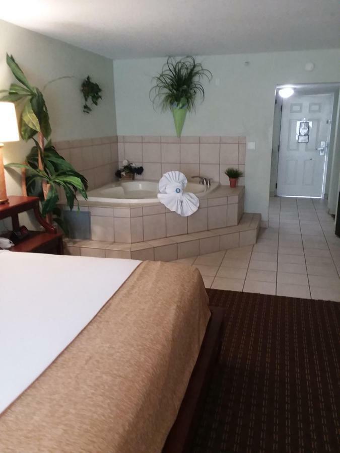 Vista Tarpon Palm Harbor