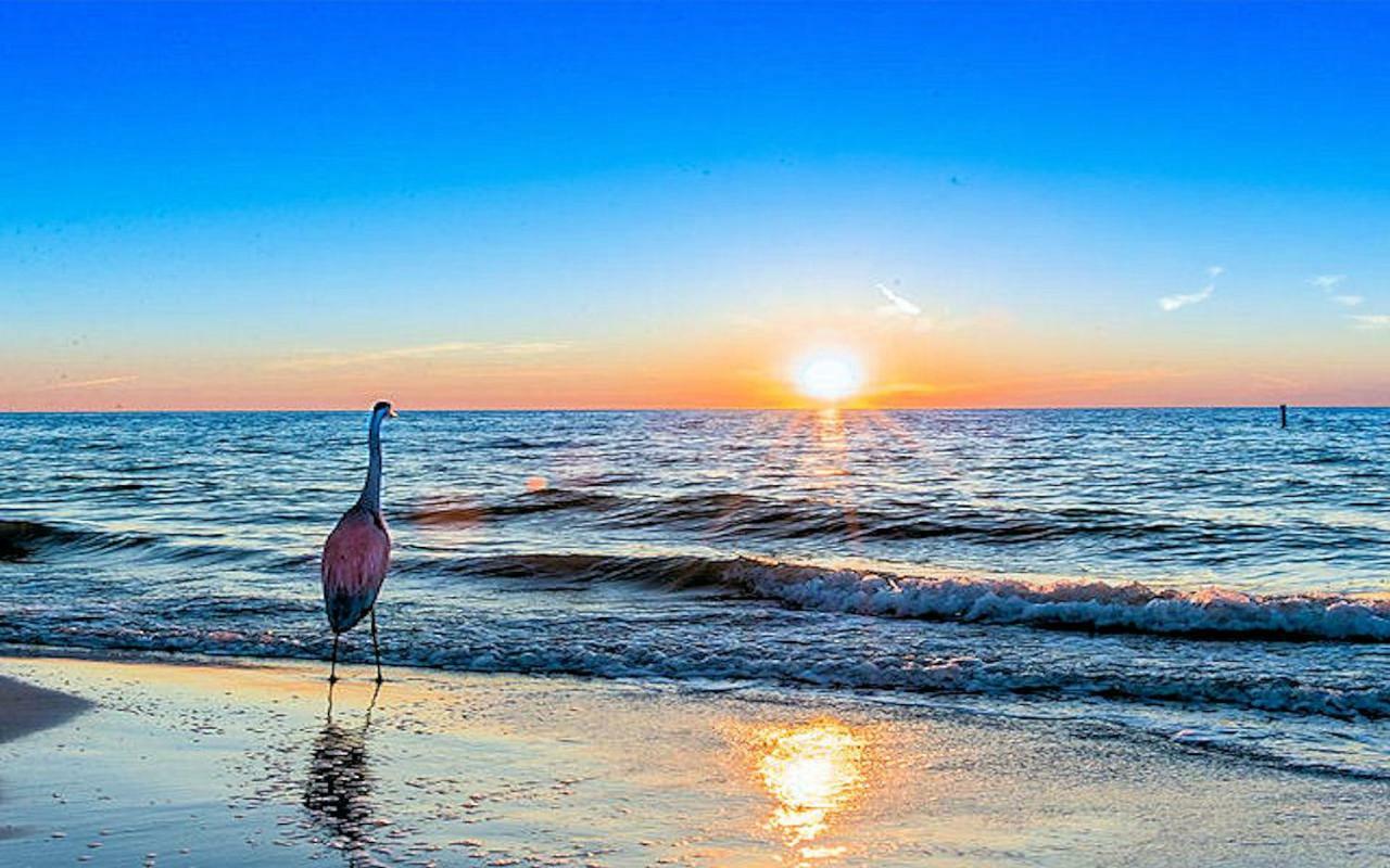 Apartment Luxury 5 Star Water Front 3 Beds 2 Bath Pool Hot-tub And Views Clearwater Beach