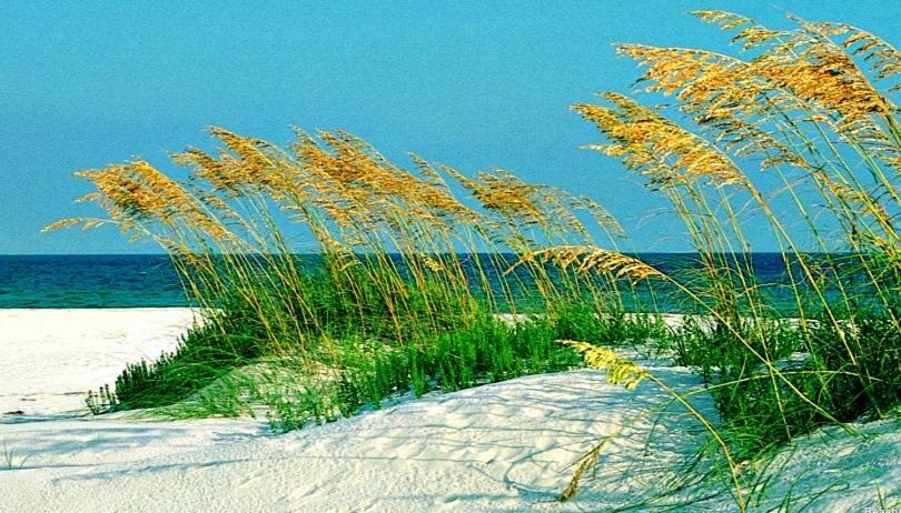 Aparthotel Emerald Isle 3*